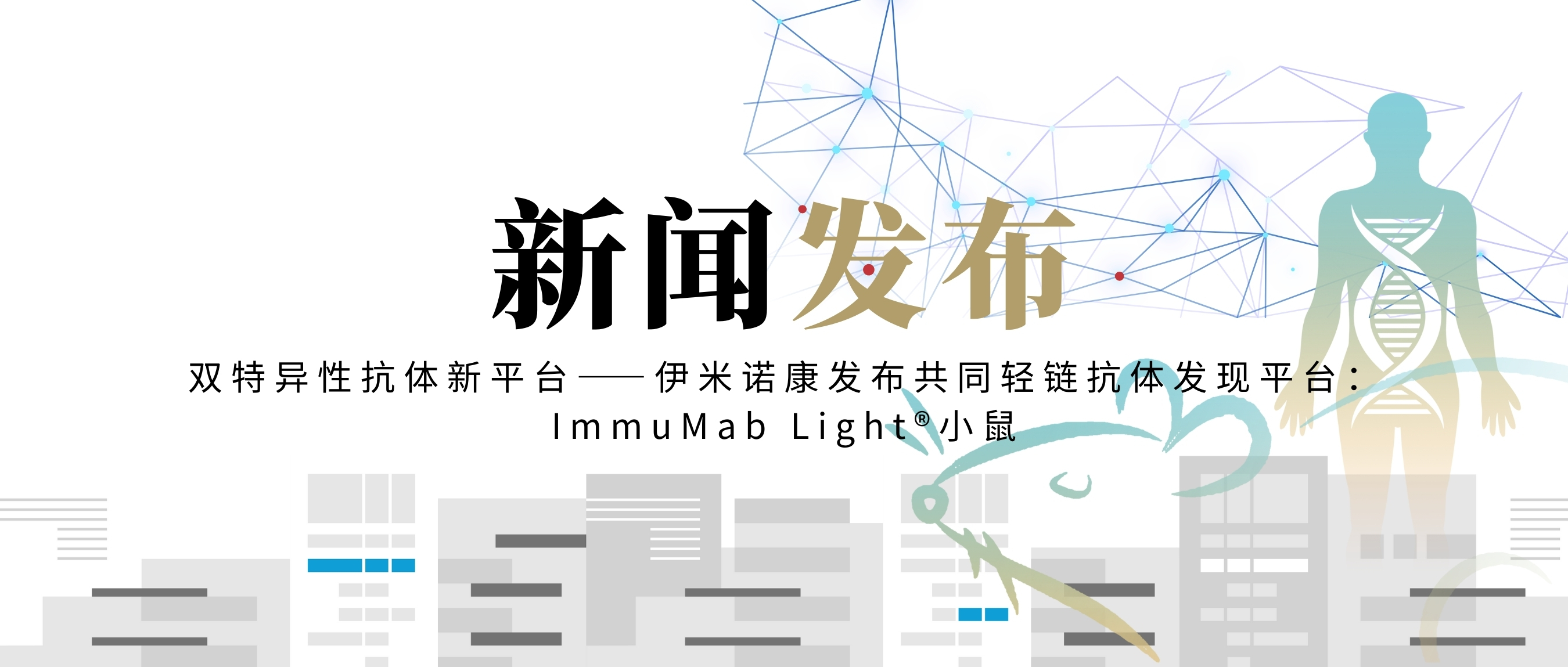 双特异性抗体新平台——伊米诺康发布共同轻链抗体发现平台：ImmuMab Light®小鼠