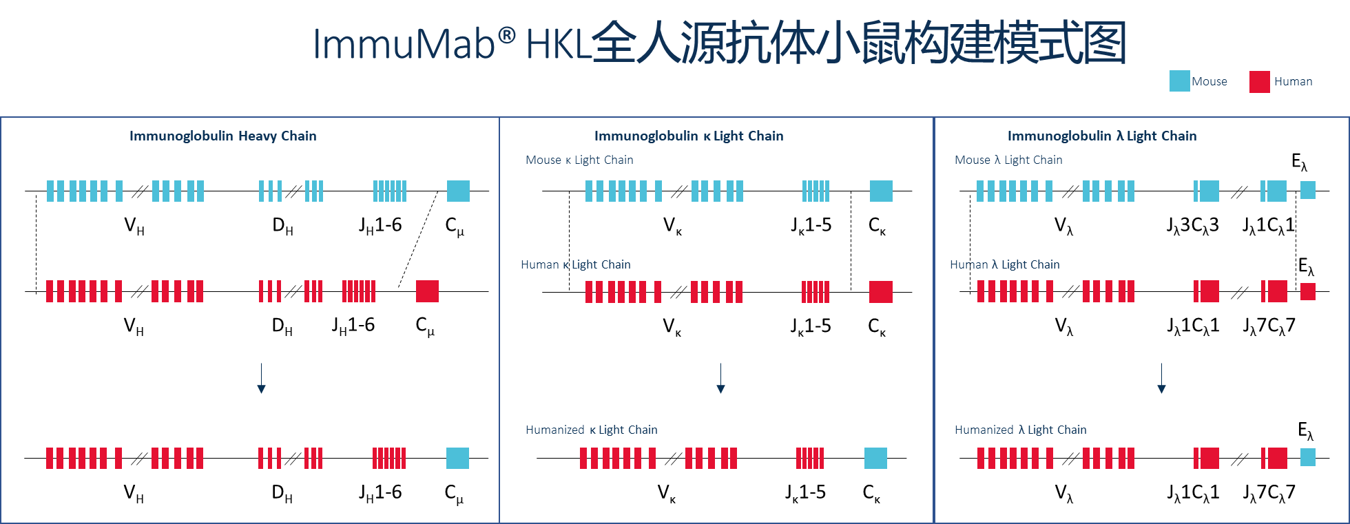 figure 2 cn