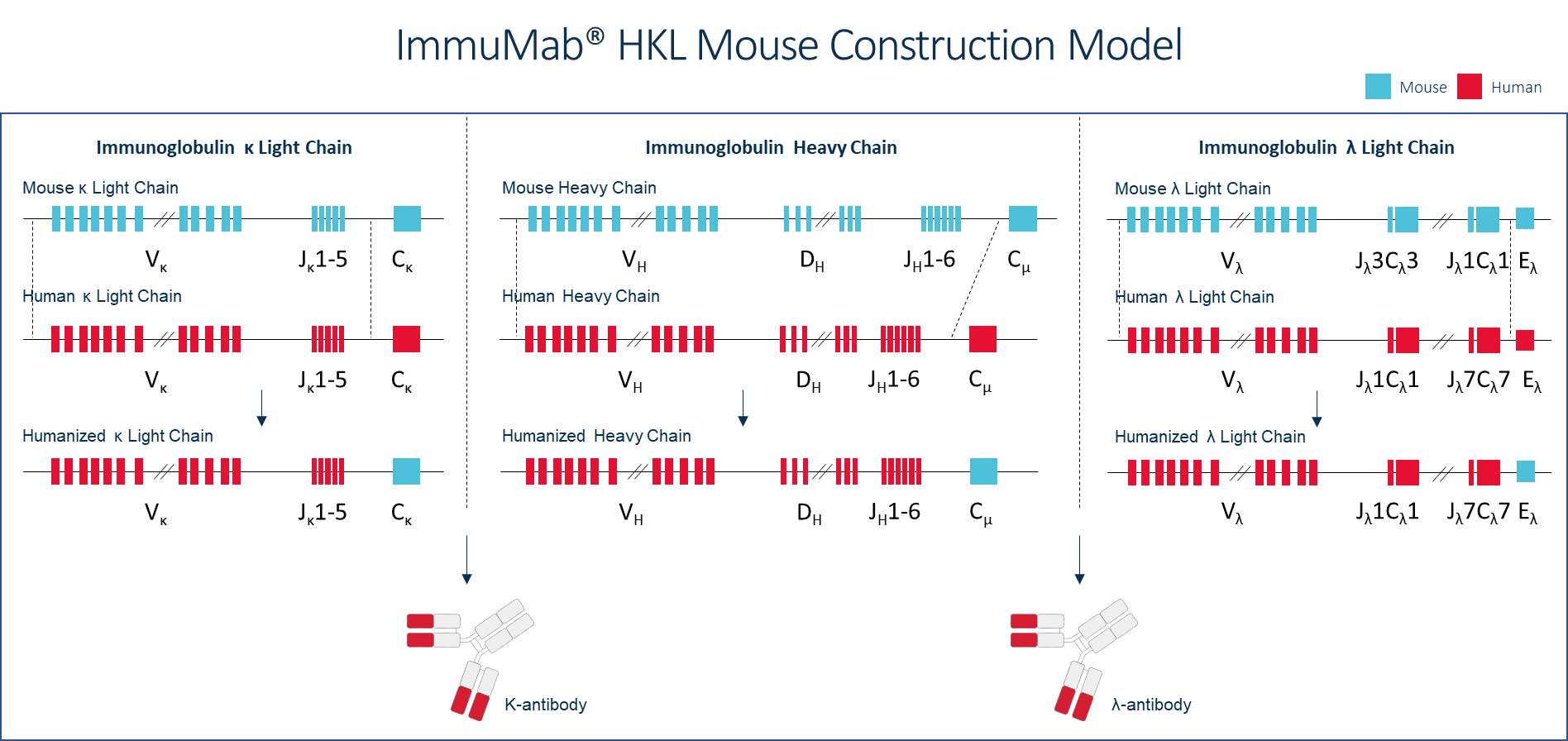 figure 2 en