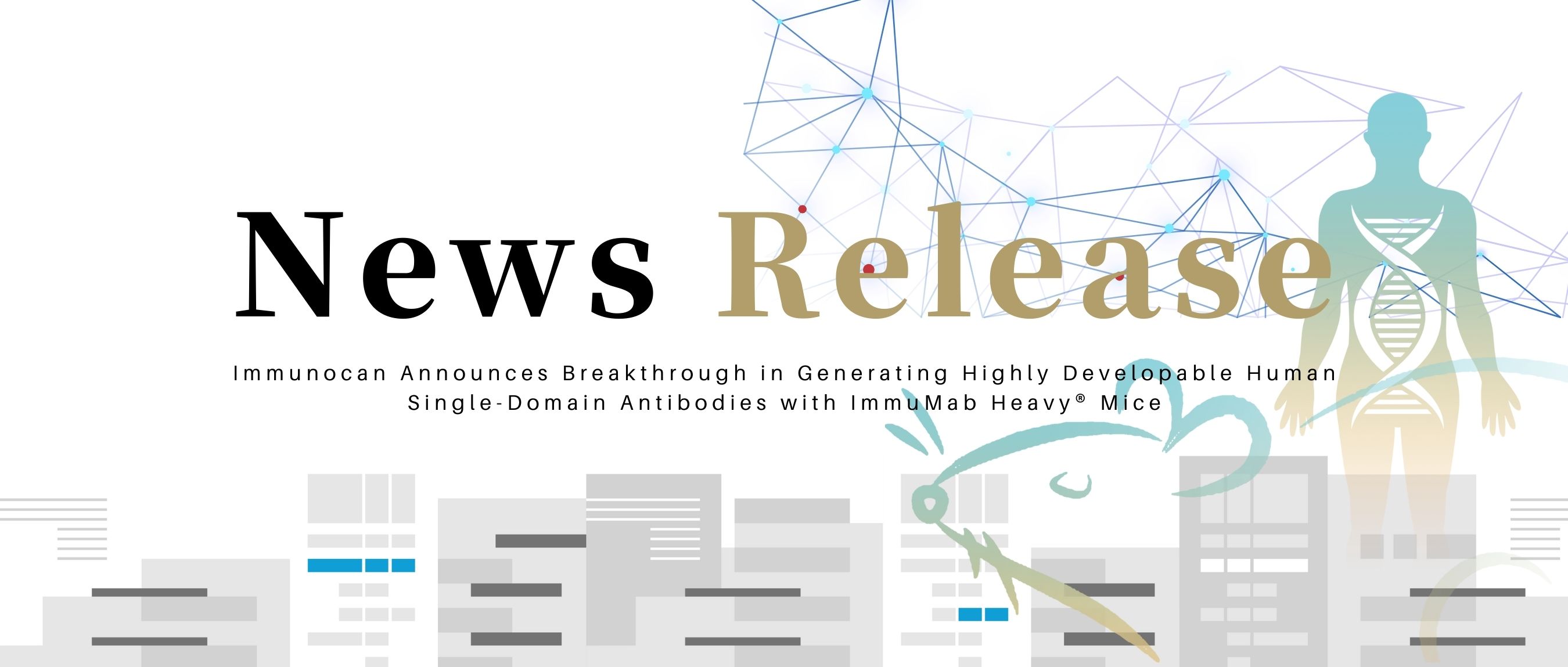 Immunocan Announces Breakthrough in Generating Highly Developable Human Single-Domain Antibodies with ImmuMab Heavy® Mice
